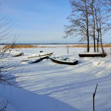 Лесозавод