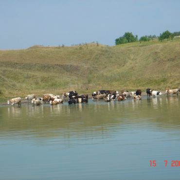 Старый Вершаут