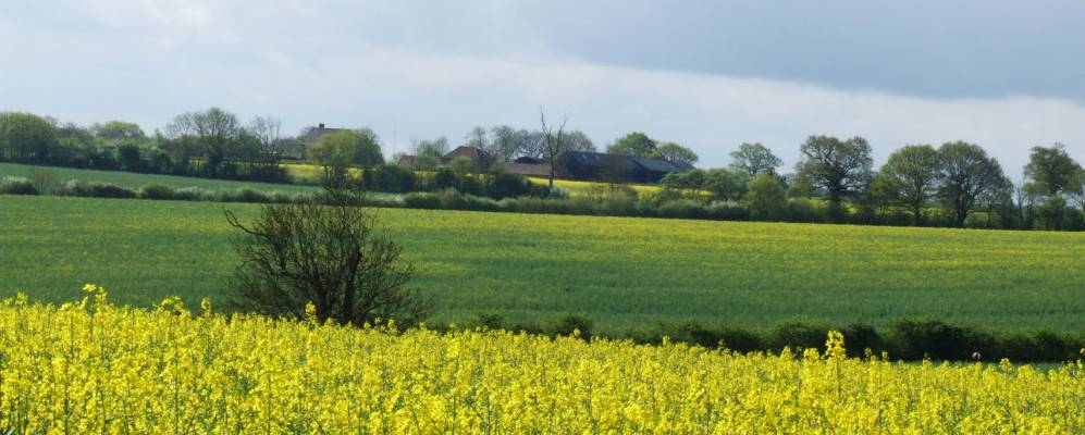 
            Фотография Sible Hedingham