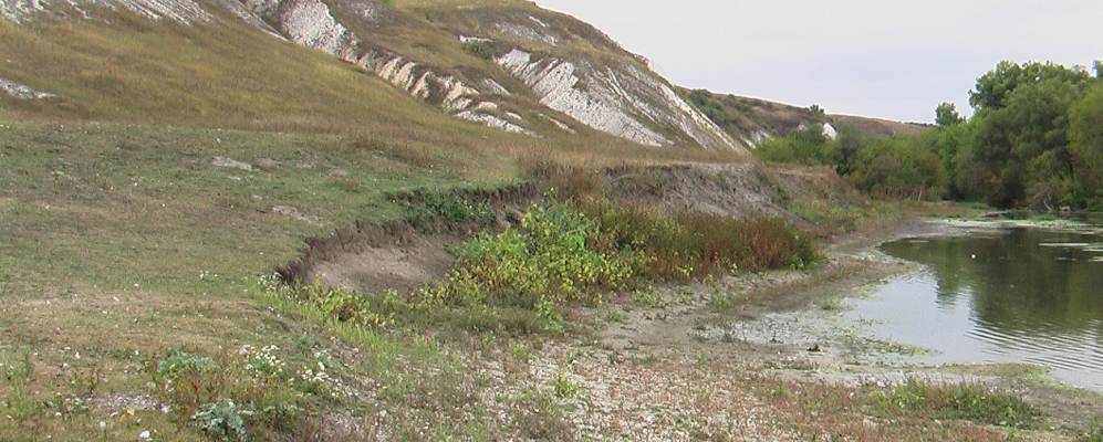 Лозно александровка. Село Александрополь белокуракинский район. Шапаровка Луганская область. Село Александровка Луганская область. Село Лозное Украина.