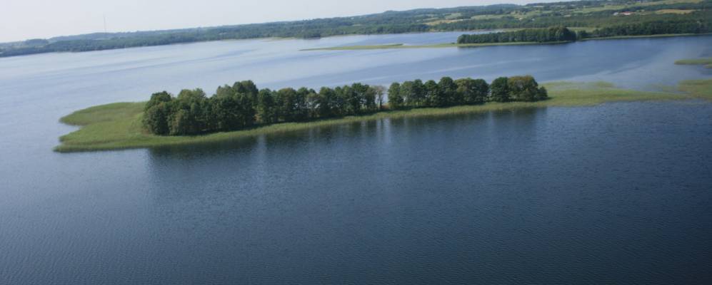 
            Фотография Перегроди