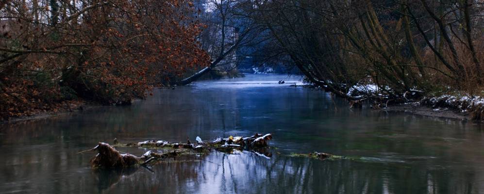 
            Фотография Креспьатикы