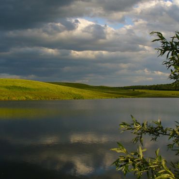 Пужники