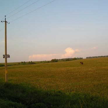 Полянское