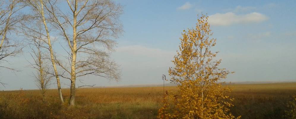 
            Фотография Юрасовки