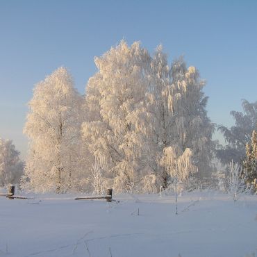 Фоминская