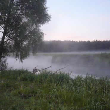 Павловка