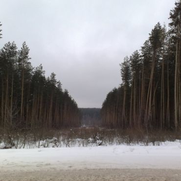 Городок Номер Два