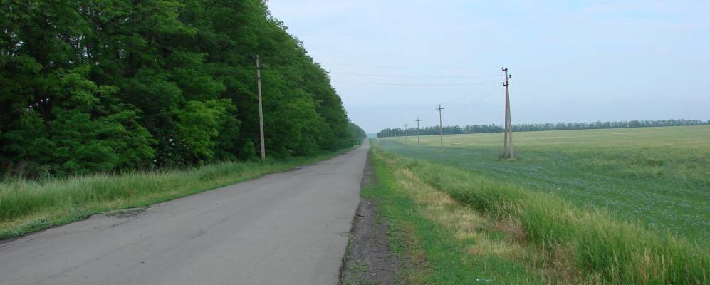 
            Фотография Греково-Балки