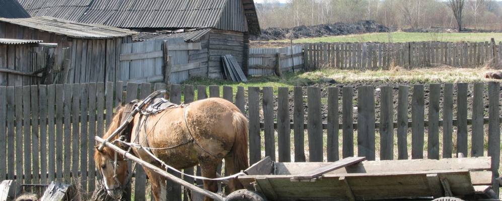 
            Фотография Забозья