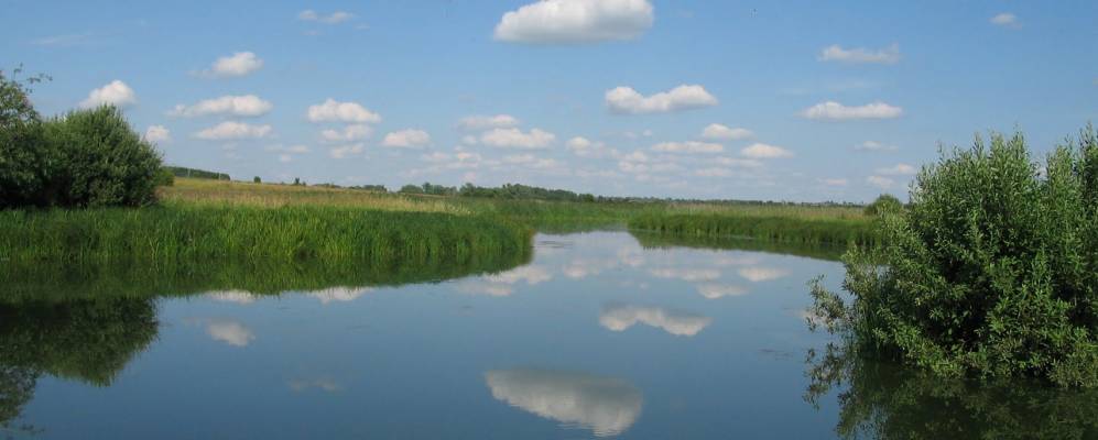 
            Фотография деревни Пустошки