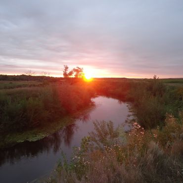 Морево