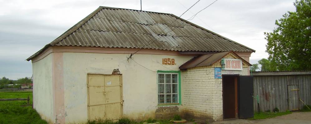 Погода нижегородская область починковский. Село Кочкурово Починковский район. Кочкурово Починковский район Нижегородской области. Село Кочкурово Починковский район Нижегородская. Кочкурово Нижегородская область семья Головановых.