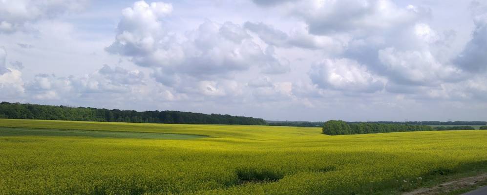 
            Фотография Кремяного