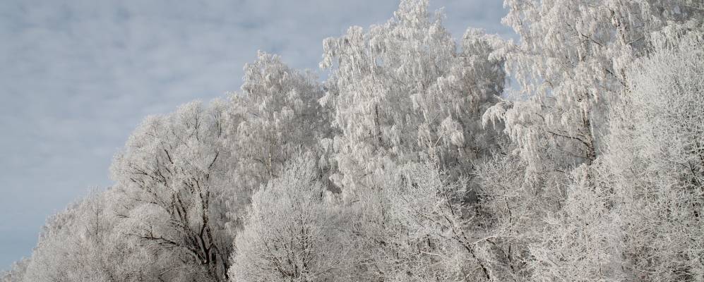 
            Фотография Ясной Поляны