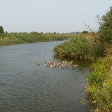 Кадамовский