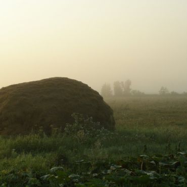 Закроевщина