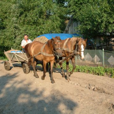 Семиковцы