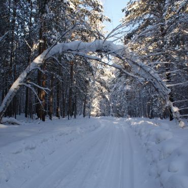 Георгиевка