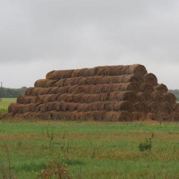 Александровка