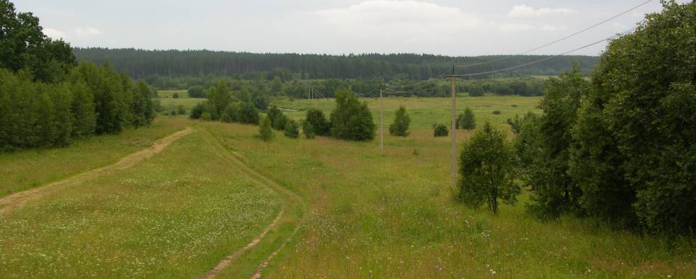 
            Фотография Кишкино