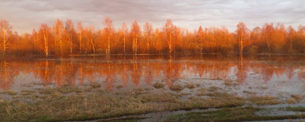 
            Фотография Васильевки