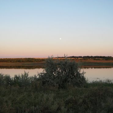 Мальчевское