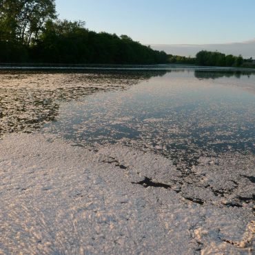 Кривая Лука