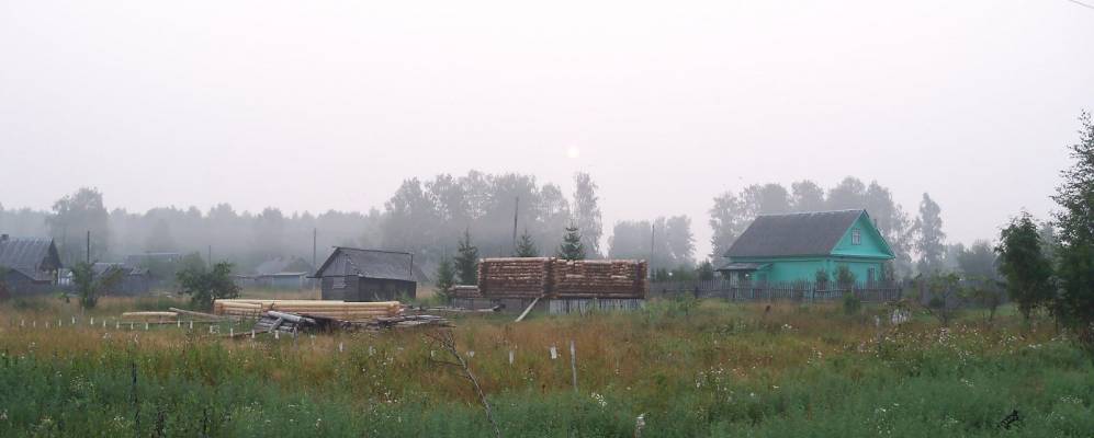 Погода в покровском сельском поселении рыбинского. Поселок Великий мох Рыбинский район. Рыбинск поселок Великий мох. Великий мох Рыбинский. Болото Великий мох Рыбинский район.