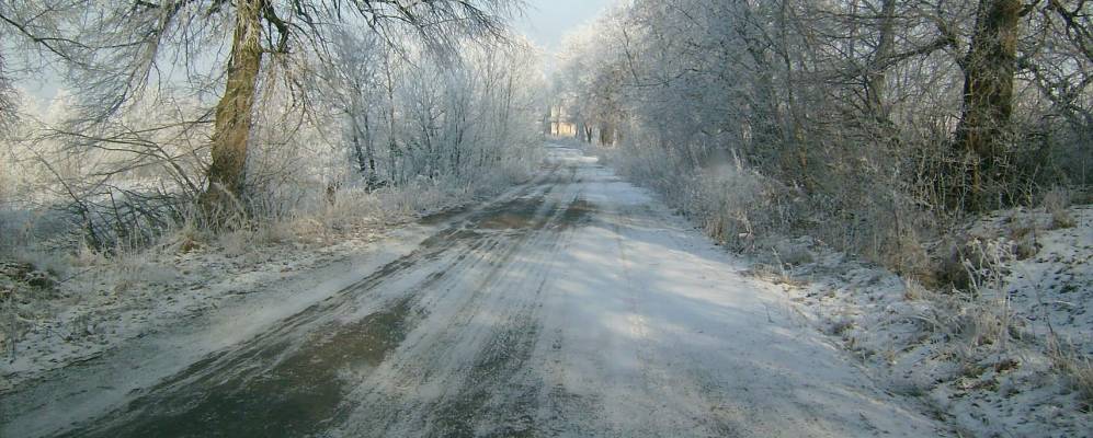 
            Фотография Колодиева