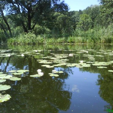 Красная Лука