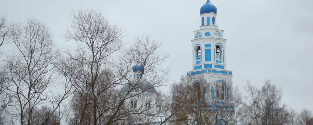 Саконы ардатовский район карта