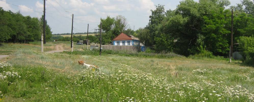 Кубраки вейделевский район карта