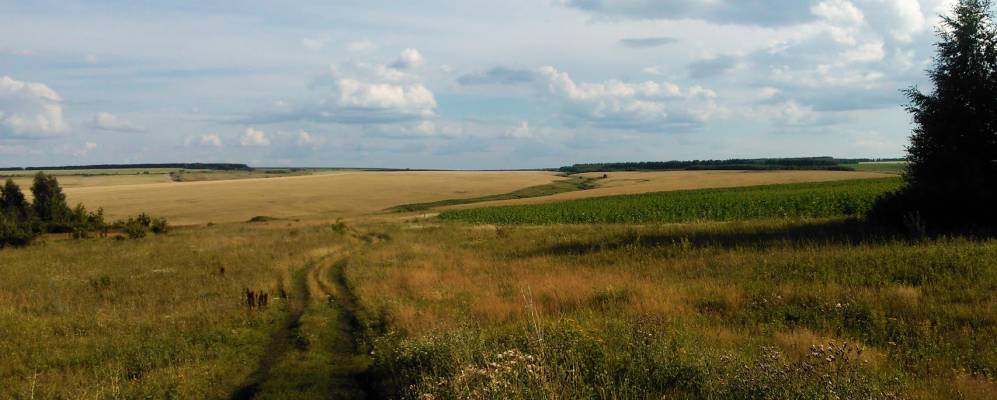 
            Фотография Маресево