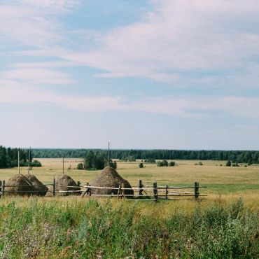 Лесокомбината