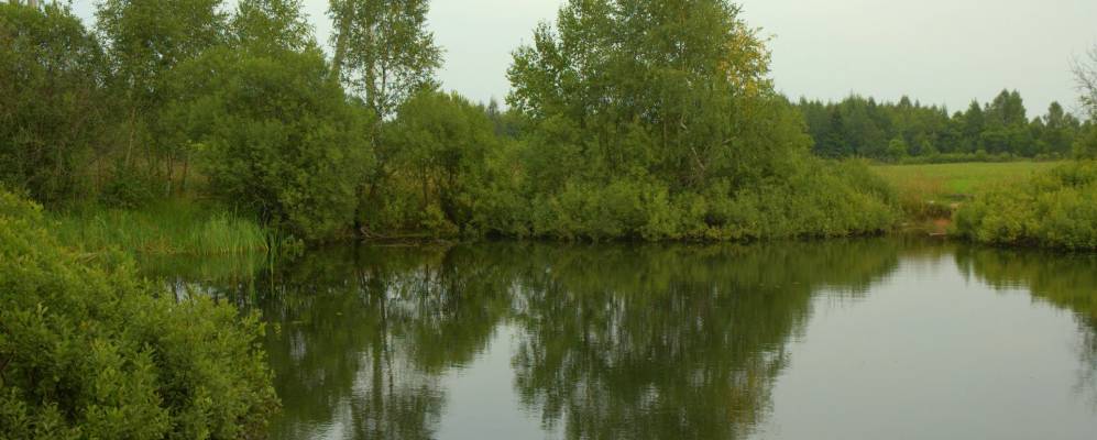 
            Фотография Старого Лесково