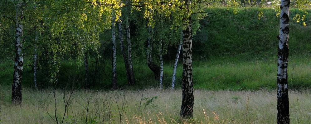 
            Фотография Войковице