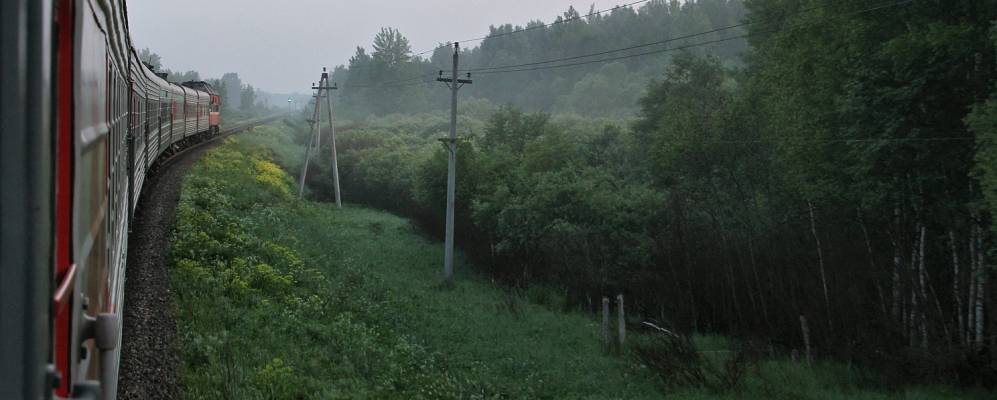 
            Фотография Луковищей