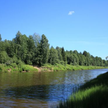 Паговец