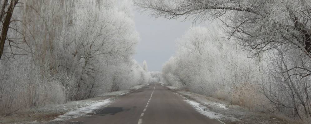 
            Фотография Украинки