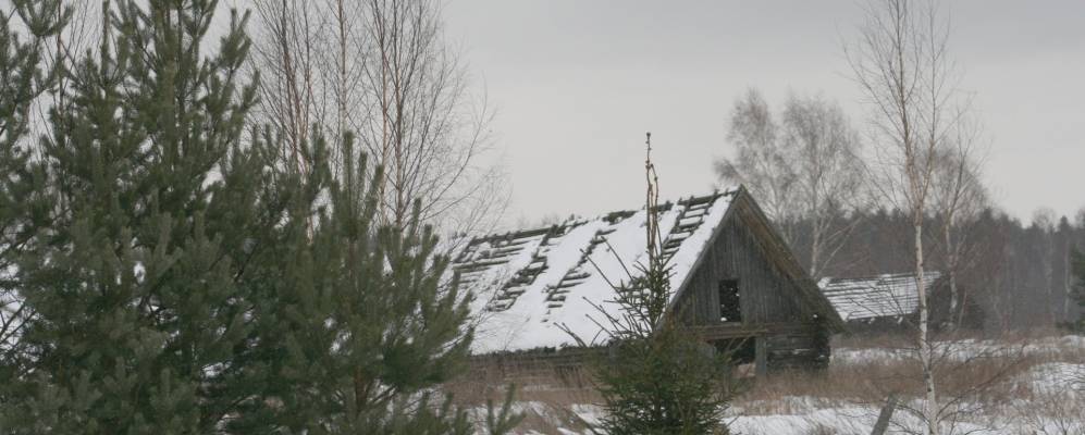 
            Фотография Романовского