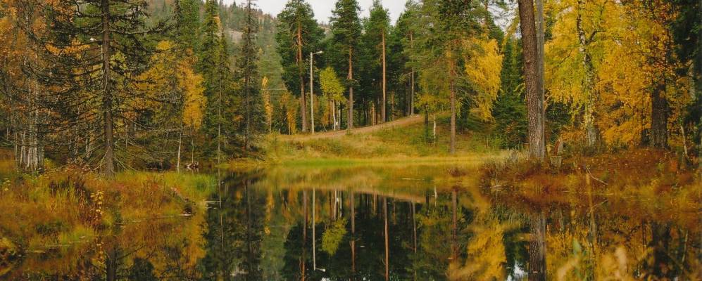 
            Фотография Луосто