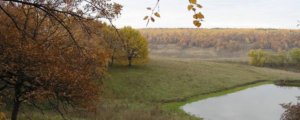 
            Фотография Новоскатовки