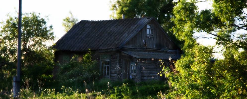 
            Фотография Кукушкино