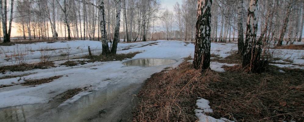 
            Фотография Илира