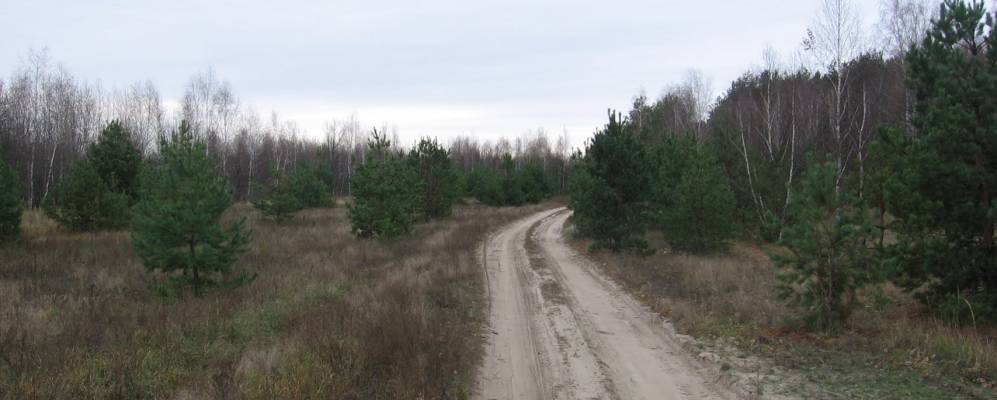 
            Фотография Соболевки