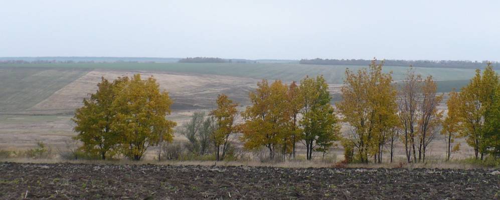 
            Фотография Алисовки