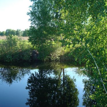 Воробьевский