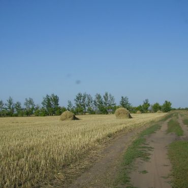 Забавное