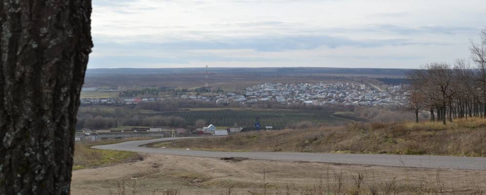 Погода село яковлевка базарно карабулакский. Яковлевка Саратовская область Базарно Карабулакский район. Село Яковлевка Саратовская область. Село Яковлевка Базарно-Карабулакский район. Абдуловка Базарно-Карабулакский район.